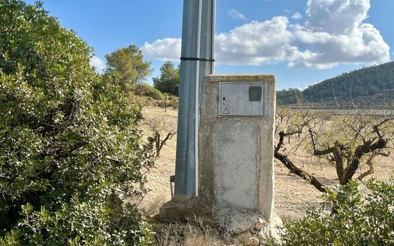 Parcela de  en Bullas- GS149464 - Foto - Small - 9
