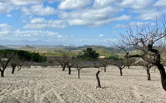 Parcela de  en Bullas- GS149464 - Foto - 1
