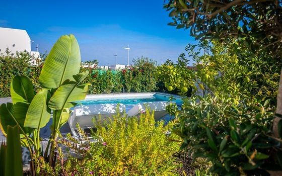 2 bedroom Villa in Algorfa - GS149468 - Photo - Small - 37
