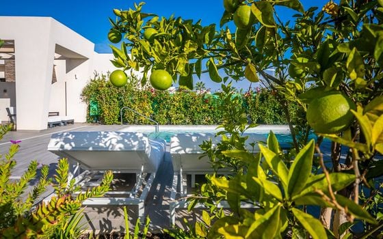 2 bedroom Villa in Algorfa - GS149468 - Photo - Small - 38