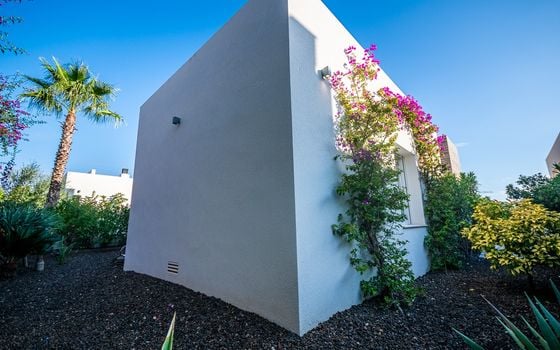 2 bedroom Villa in Algorfa - GS149468 - Photo - Small - 40