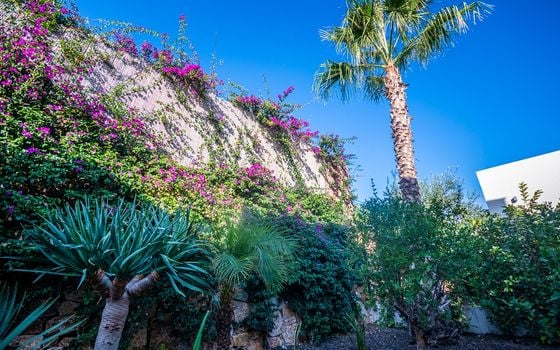 2 bedroom Villa in Algorfa - GS149468 - Photo - Small - 41