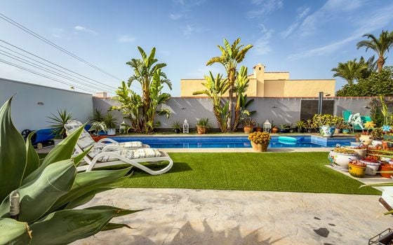 Villa de 2 chambres à Torrevieja - GS149490 - Photo - Small - 40