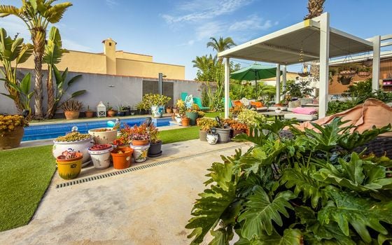 Villa de 2 chambres à Torrevieja - GS149490 - Photo - Small - 27