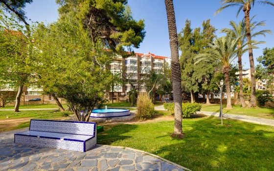 3 bedroom Apartment in Torrevieja - CYM149528 - Photo - Small - 27