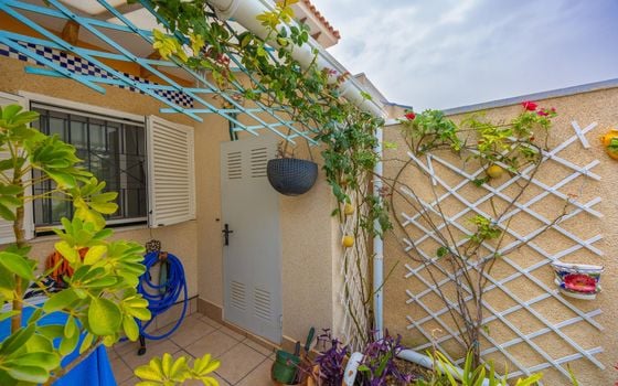 Bungalow de 2 chambres à Orihuela Costa - CYM149529 - Photo - Small - 21