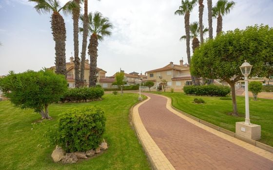 Bungalow de 2 chambres à Orihuela Costa - CYM149529 - Photo - Small - 31