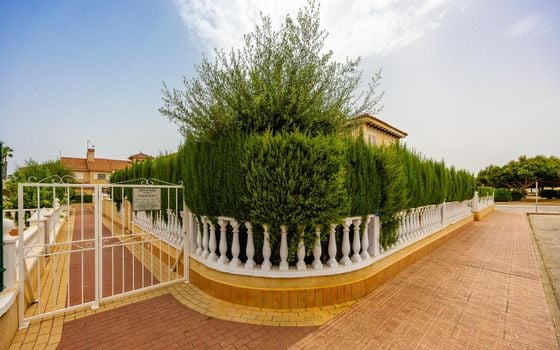 Bungalow de 2 chambres à Orihuela Costa - CYM149529 - Photo - Small - 30