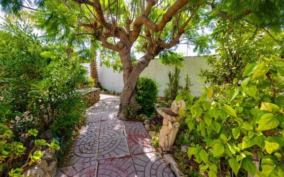 Vilă cu 4 dormitoare în Torrevieja - CYM149530 - Imagini - Small - 43