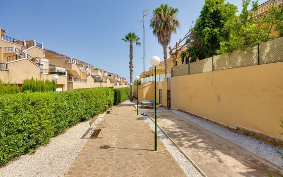 2 bedroom Bungalow in Orihuela Costa - CYM149532 - Photo - Small - 26