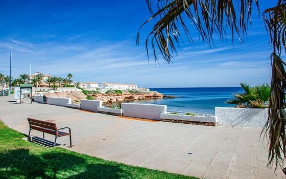 2 bedroom Bungalow in Orihuela Costa - CYM149532 - Photo - Small - 32