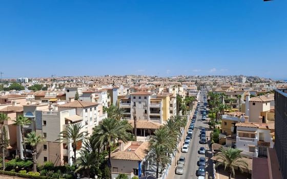 2 bedroom Apartment in Torrevieja - CI149578 - Photo - Small - 22