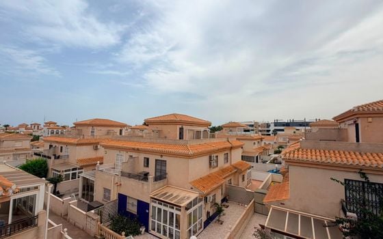 Bungalow de 3 chambres à Playa Flamenca - LR149615 - Photo - Small - 22