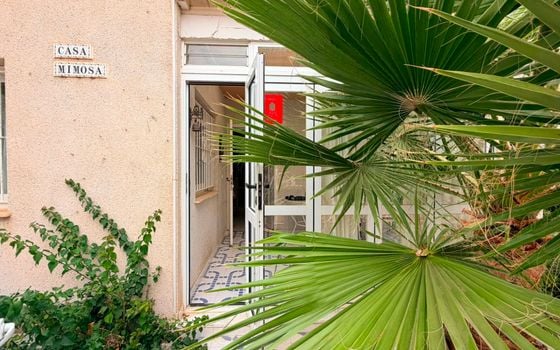 Bungalow de 3 chambres à Playa Flamenca - LR149615 - Photo - Small - 24
