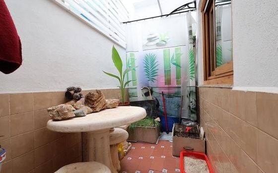 Bungalow de 2 chambres à Torrevieja - CRR149668 - Photo - Small - 14