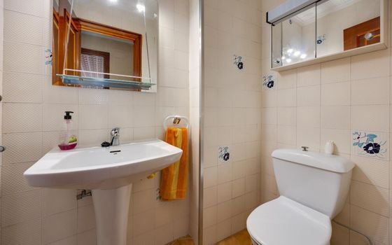 Appartement de 3 chambres à Torrevieja - TIM149728 - Photo - Small - 16