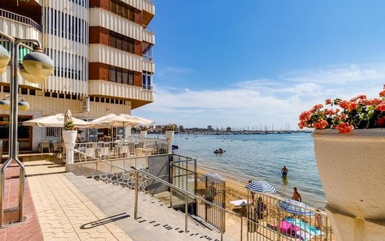 Appartement de 3 chambres à Torrevieja - TIM149728 - Photo - Small - 25
