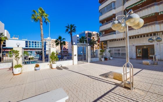 Appartement de 3 chambres à Torrevieja - TIM149728 - Photo - Small - 24