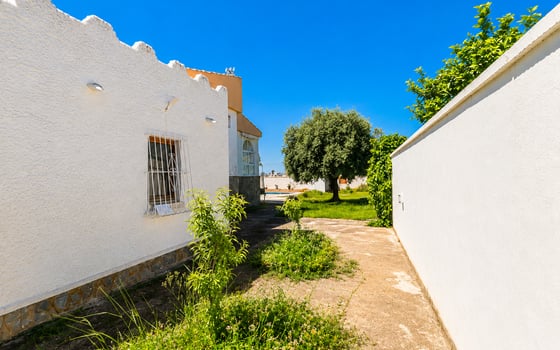 Vilă cu 5 dormitoare în Torrevieja - TIM149729 - Imagini - Small - 23
