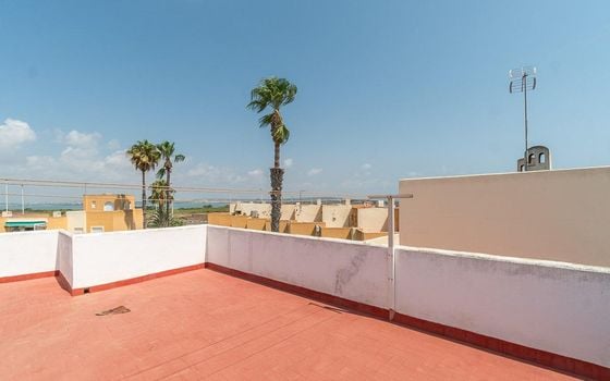 Appartement de 1 chambre à Torrevieja - RPF149862 - Photo - Small - 19