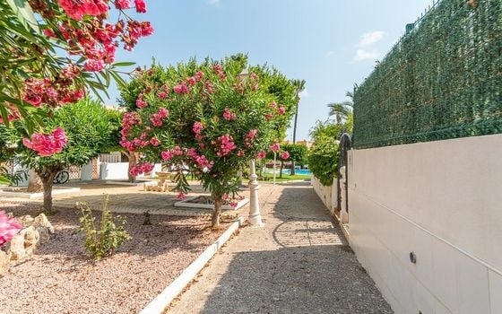Appartement de 1 chambre à Torrevieja - RPF149862 - Photo - Small - 24