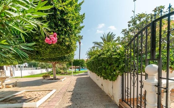 Appartement de 1 chambre à Torrevieja - RPF149862 - Photo - Small - 23