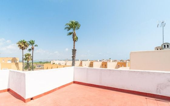Appartement de 1 chambre à Torrevieja - RPF149862 - Photo - Small - 16
