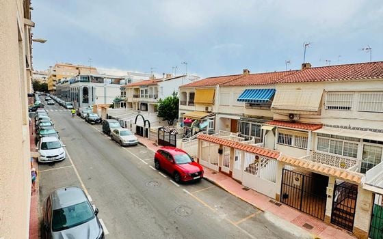 Appartement de 1 chambre à Torrevieja - CT149867 - Photo - Small - 12