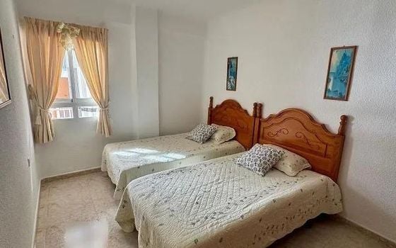 Appartement de 4 chambres à Torrevieja - VEC150054 - Photo - Small - 11