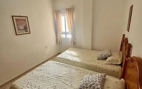 Appartement de 4 chambres à Torrevieja - VEC150054 - Photo - Small - 13