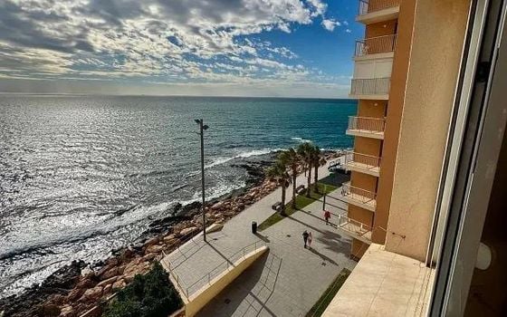 Appartement de 4 chambres à Torrevieja - VEC150054 - Photo - Small - 17