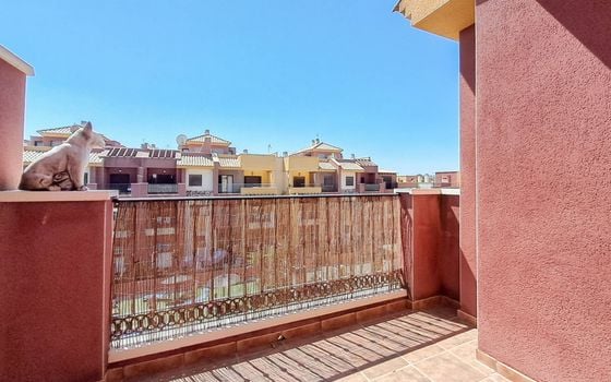 2 bedroom Apartment in Orihuela Costa - HO150068 - Photo - Small - 15