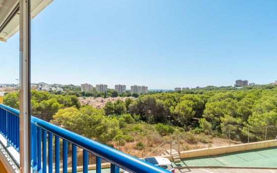 2 bedroom Apartment in Orihuela Costa - RPF150152 - Photo - Small - 18