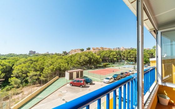 2 bedroom Apartment in Orihuela Costa - RPF150152 - Photo - Small - 19