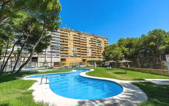 2 bedroom Apartment in Orihuela Costa - RPF150152 - Photo - Small - 22