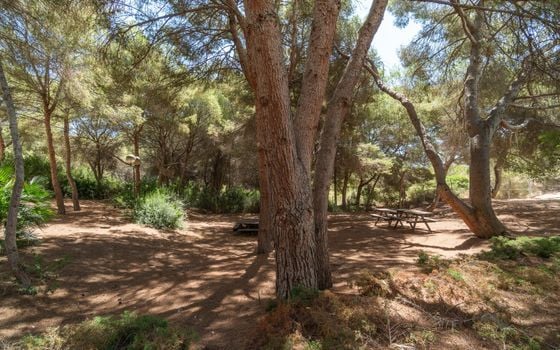 2 bedroom Apartment in Orihuela Costa - RPF150152 - Photo - Small - 23