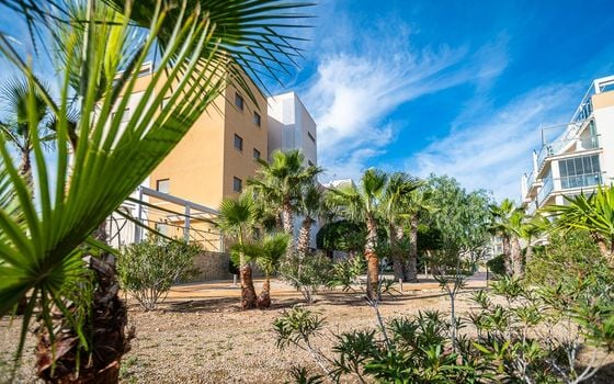 Appartement de 3 chambres à Orihuela Costa - GS150155 - Photo - Small - 30