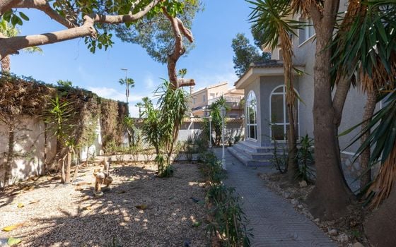 5 Schlafzimmer Villa in Rojales - SV150206 - Foto - Small - 41
