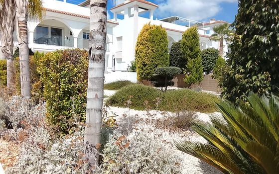 2 bedroom Penthouse in Rojales - PPS150250 - Photo - Small - 32