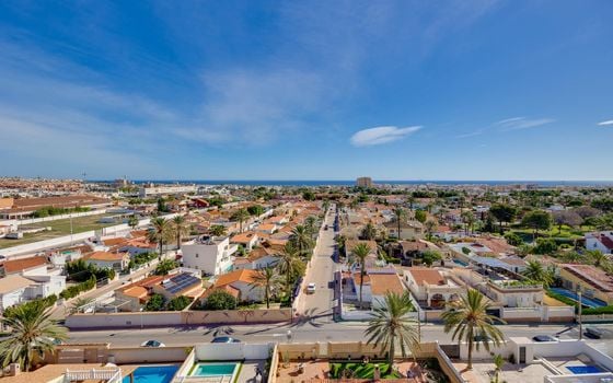 2 bedroom Apartment in Torrevieja - MRS150251 - Photo - Small - 35
