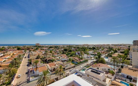 2 bedroom Apartment in Torrevieja - MRS150251 - Photo - Small - 23