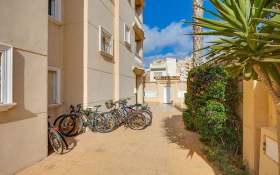 2 bedroom Apartment in Torrevieja - MRS150251 - Photo - Small - 32