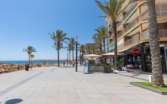 Appartement de 2 chambres à Torrevieja - GVS150292 - Photo - 3