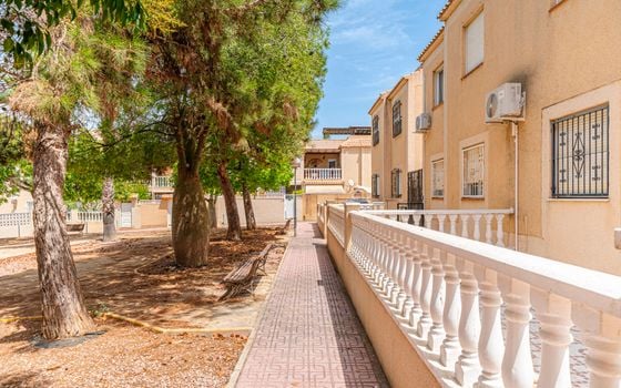 2 bedroom Penthouse in Torrevieja - CBB150293 - Photo - Small - 37