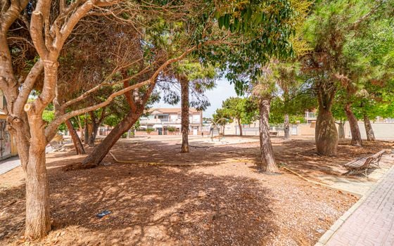 2 bedroom Penthouse in Torrevieja - CBB150293 - Photo - Small - 38