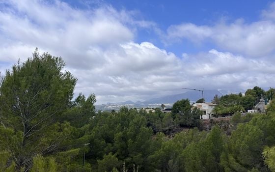  Plot in Callosa de Ensarriá- WI150301 - Photo - Small - 9