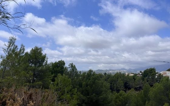  Plot in Callosa de Ensarriá- WI150301 - Photo - Small - 10