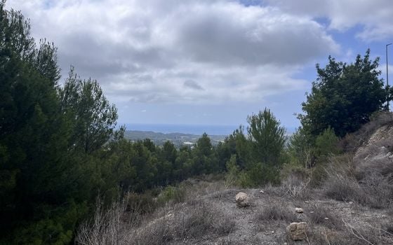  Plot in Callosa de Ensarriá- WI150301 - Photo - Small - 12