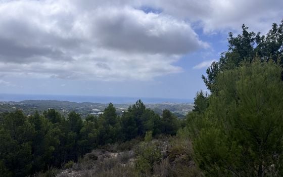  Plot in Callosa de Ensarriá- WI150301 - Photo - Small - 11