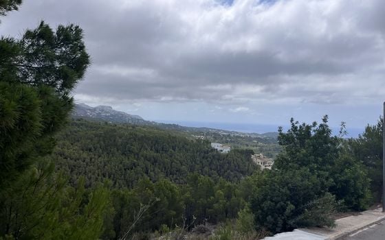  Plot in Callosa de Ensarriá- WI150301 - Photo - Small - 8